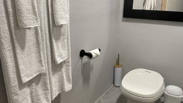 Douche, sèche-cheveux, serviettes fournies, papier toilette