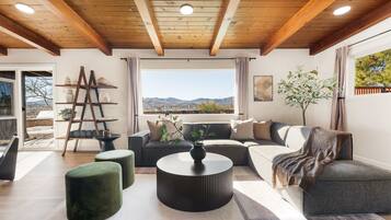Smart TV, fireplace, books