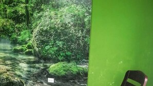 Una habitación con una silla, una planta en maceta y un mural de un arroyo en el bosque.