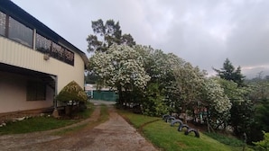 Un edificio con vialetto lastricato che conduce a una zona erbosa con alberi e cespugli.