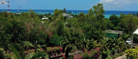 Villa, 3 Bedrooms, Smoking, Private Pool | Pool | Outdoor pool