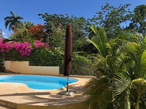 Villa, 3 Bedrooms, Smoking, Private Pool | Pool | Outdoor pool - Black River Villa Turquoise 3bdr, sea View (Black River)