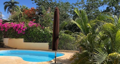 Black River Villa Turquoise 3bdr, sea View