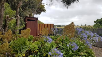 Stroll through the serene garden, surrounded by vibrant blooms and lush foliage.