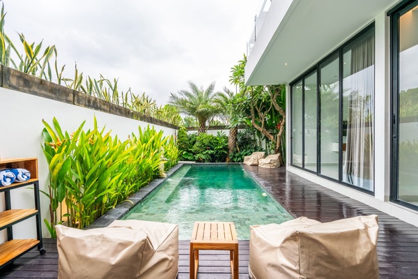 Outdoor pool, sun loungers