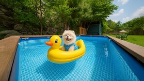 Exterior - Gapyeong Daengdaengi Dog Pension Silver (Gapyeong)