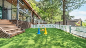 Chambre, 1 chambre (Poodle 1)