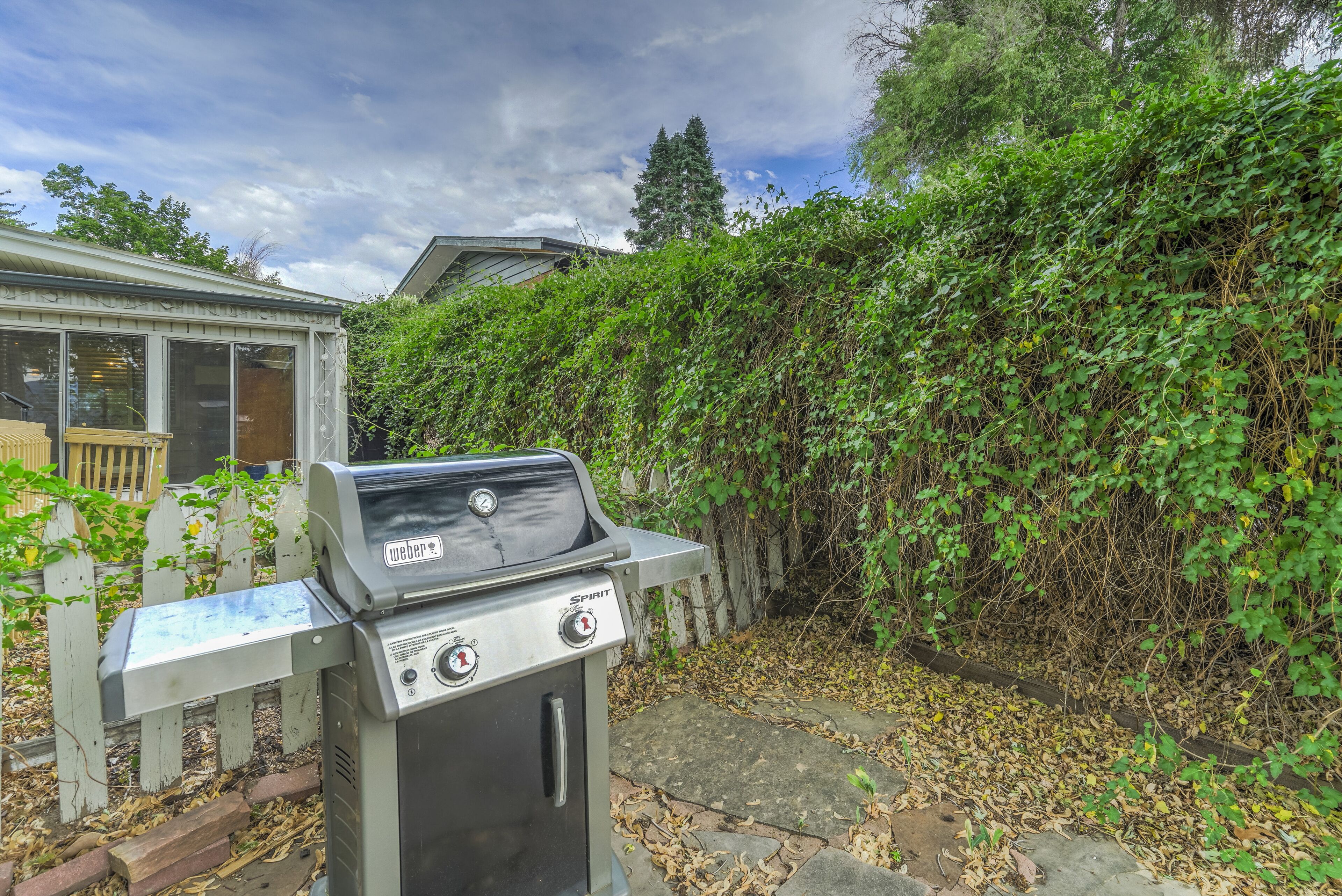 A Weber Spirit grill in a backyard with a wooden fence, a house, and a hedge.