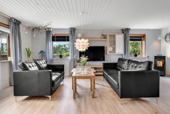 TV connectée, cheminée