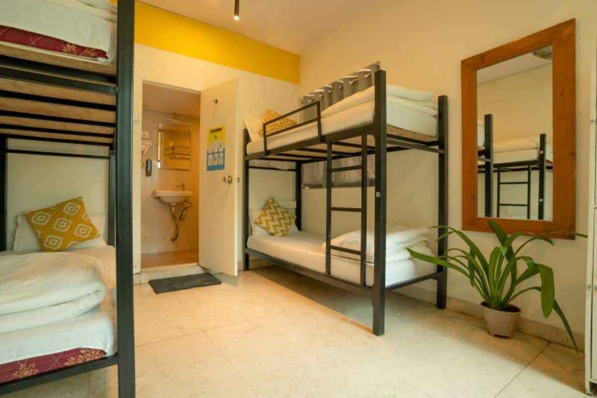 A dormitory room with bunk beds, a sink, a mirror, and a potted plant.
