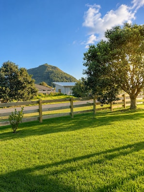Property grounds - Bach @ 45 - 90 Mile Beach (Ahipara)
