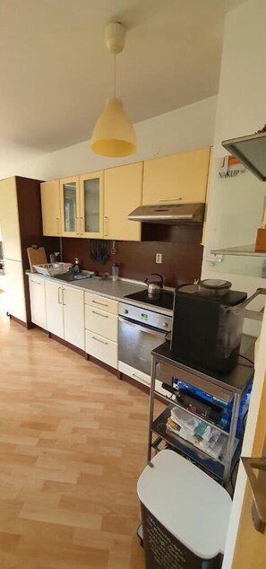 Kühlschrank, Ofen, Herdplatte, Geschirrspüler