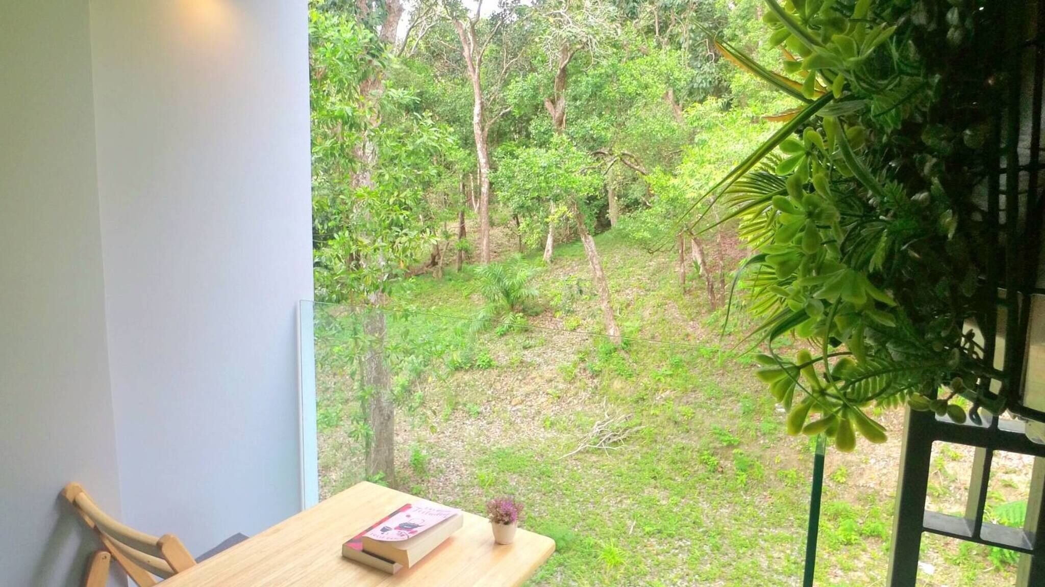 A room with a window overlooking a lush garden.
