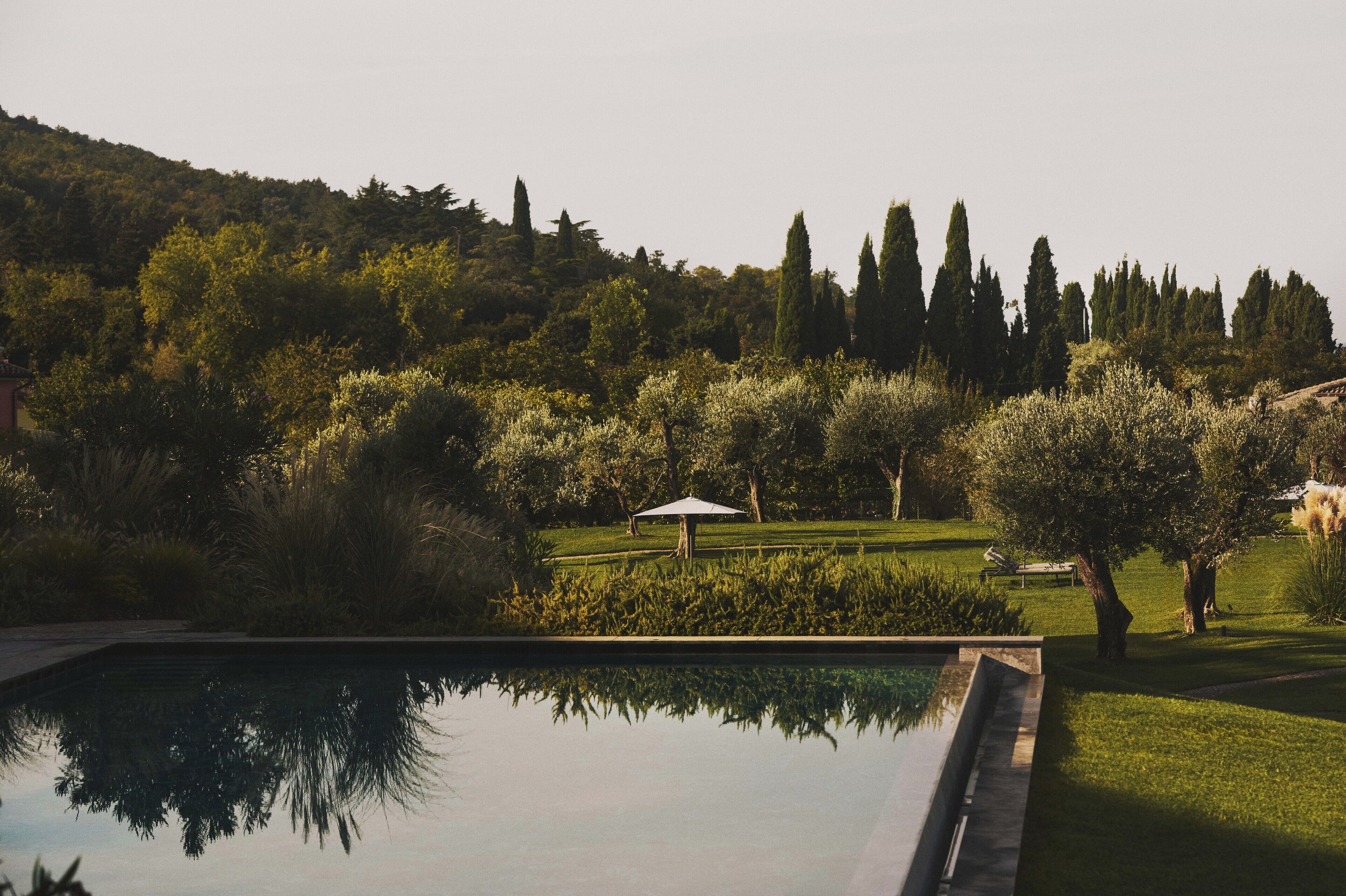 Une piscine dont l’eau reflète les arbres, ainsi qu’un espace herbeux avec un banc et un parasol.