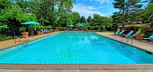 Pine Brook Apartments: Luxurious living in a stunning wooded setting
