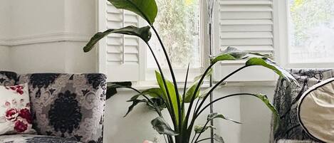 智能电视、书、立体声音响