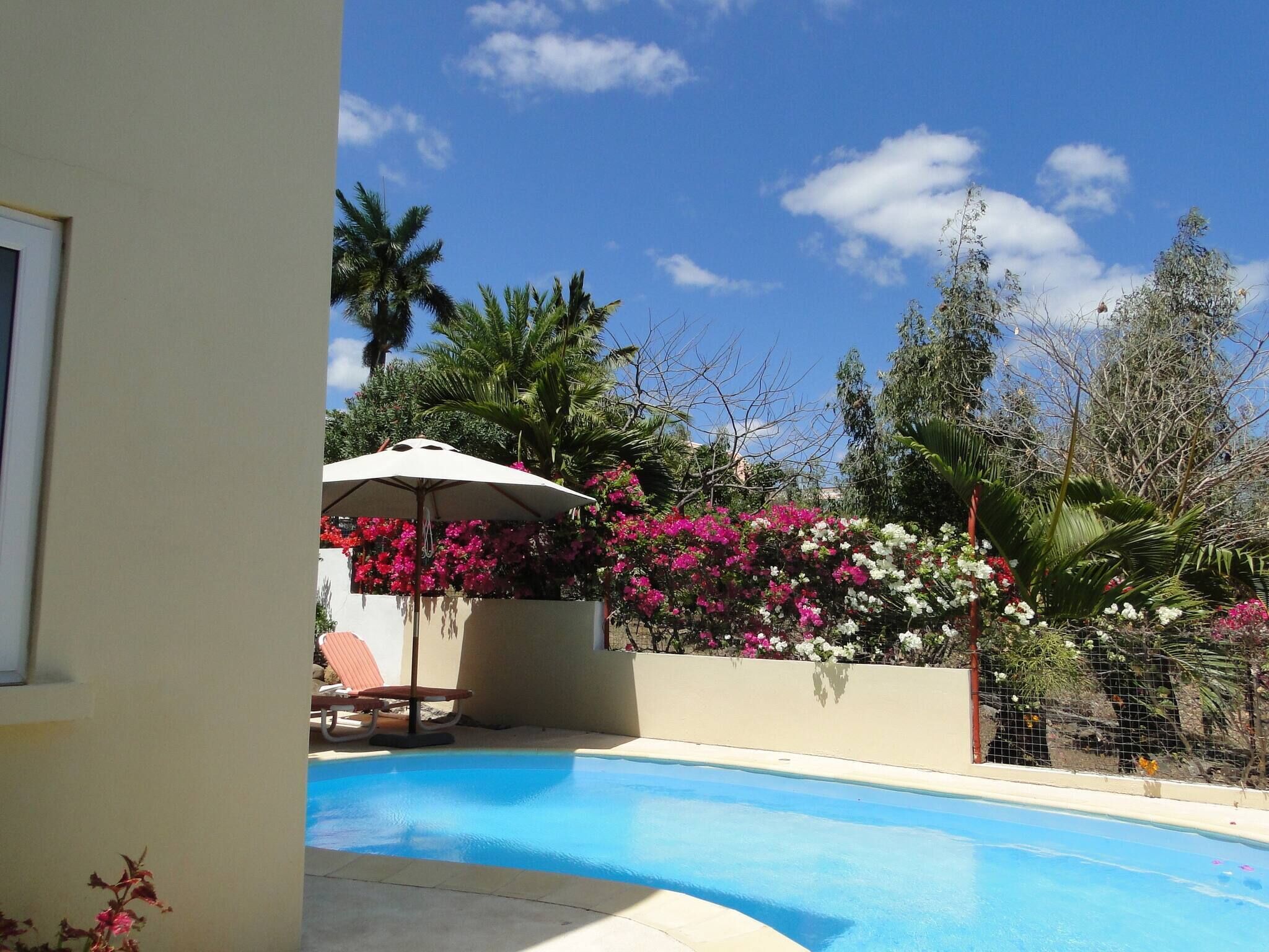 A swimming pool with a sun umbrella, surrounded by flowering plants and trees.