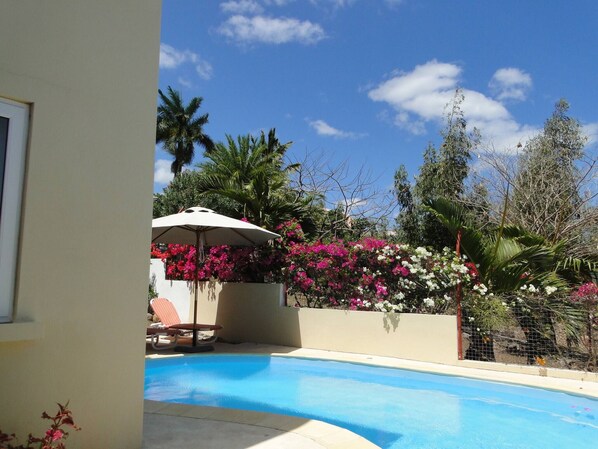 A swimming pool with a sun umbrella, surrounded by flowering plants and trees.