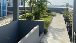 Un paseo techado con camino de baldosas de piedra, rodeado de follaje y palmeras, que conduce a un edificio moderno con amplias ventanas.
