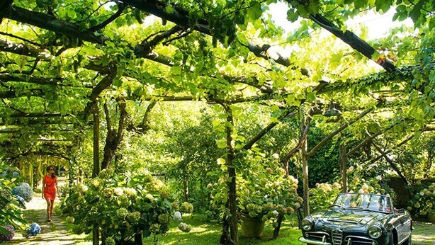 A vintage car parked under a tree-lined pergola in a lush garden. - Welcome Collection - Villa Mellicata (Massa Lubrense)