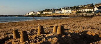 Contemporary One Bedroom Apartment Close To All Amenities In Conservation Area