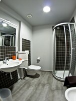 Ducha, cabezal de ducha tipo lluvia, secador de pelo y bidé