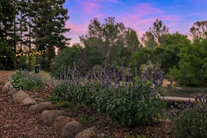 Property grounds - Honey Run K/Suite: Pool-HotTub-Private Lake Escape (Chico)