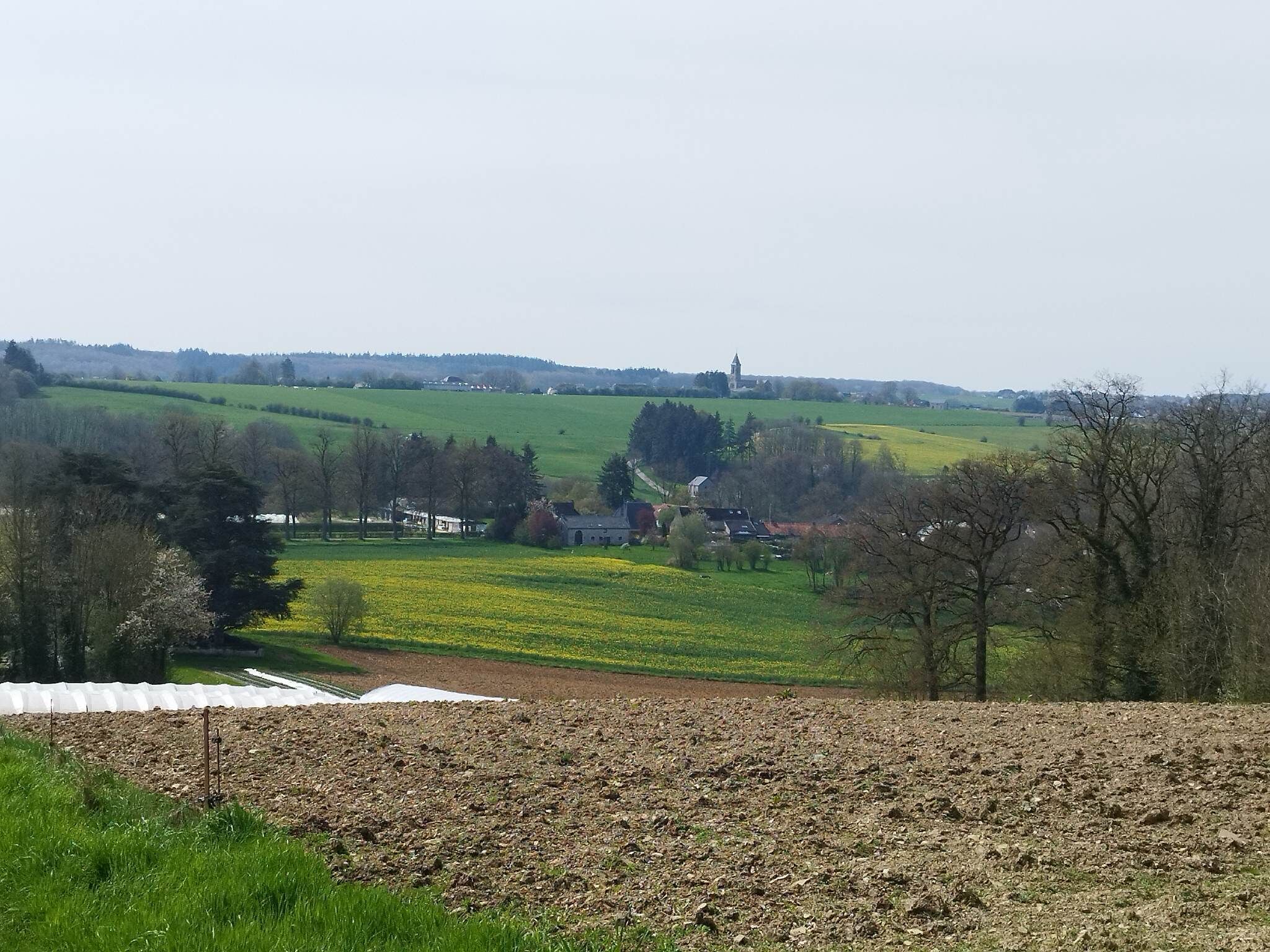 A rural landscape with a church tower, fields, and scattered houses.