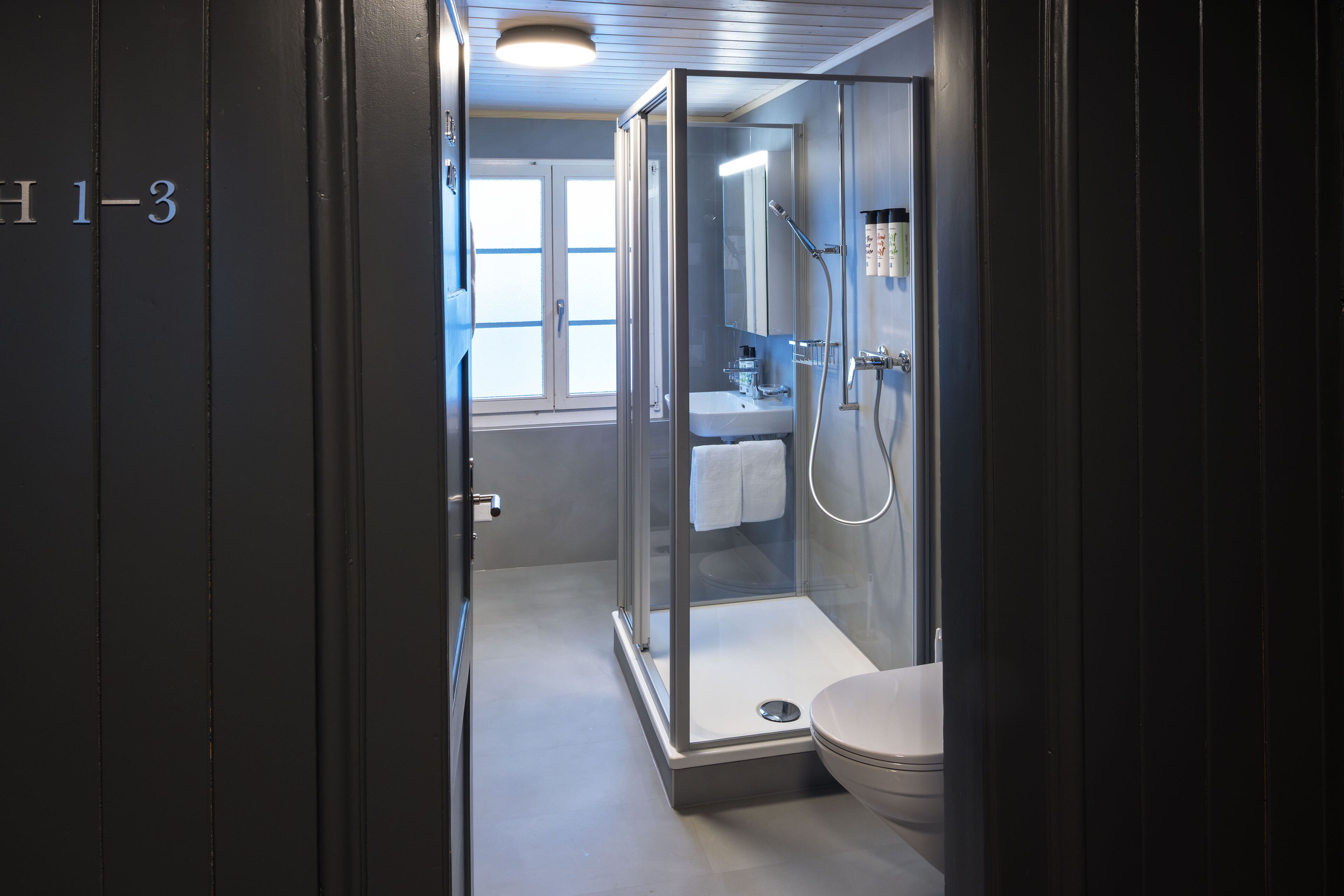 Ein modernes Badezimmer mit Duschkabine, Toilette und Waschbecken.