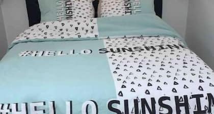 Joli Appartement Proche Gare Massy TGV Orly Saclay