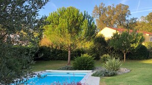 Une piscine entourée d’un jardin aménagé, agrémenté de diverses plantes et d’un petit arbre.