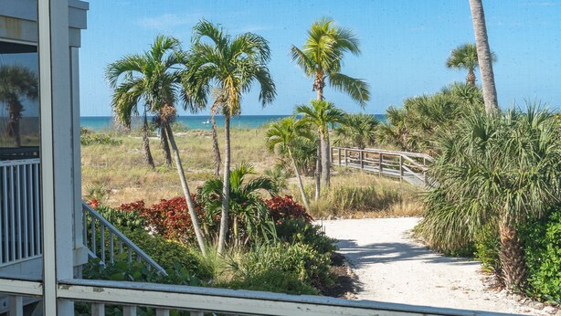 A pathway leading to a beach with palm trees and a wooden bridge. - A view of Gulf of Mexico, plus access to all the resort amenities! A3214C (Placida)