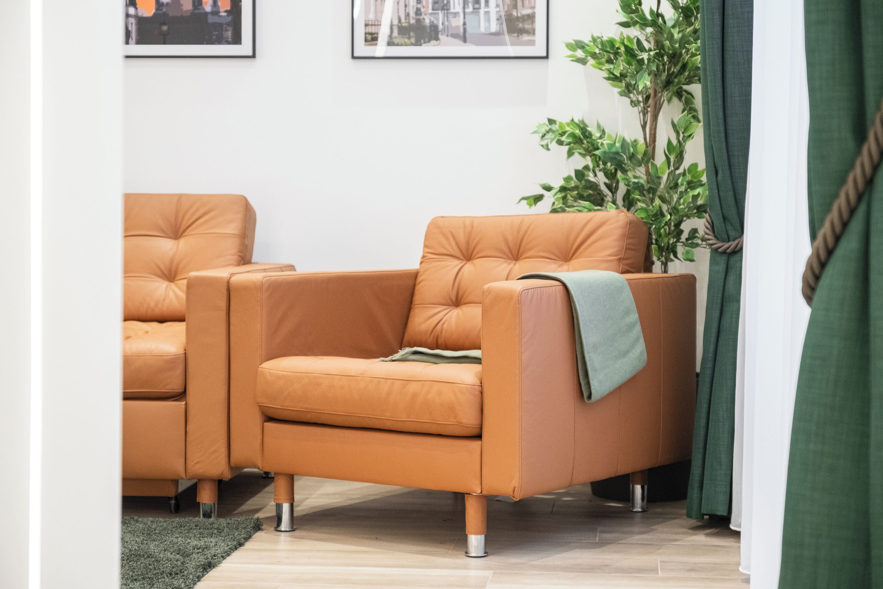 A room with two orange leather sofas, a green plant, and a wooden floor.