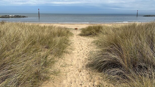 A sandy beach path leading to the ocean with tall grass on either side.
