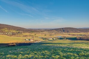 House (3 Bedrooms) | Interior - Historical Paris Cabin on Farm w/ Fire Pit! (Paris)