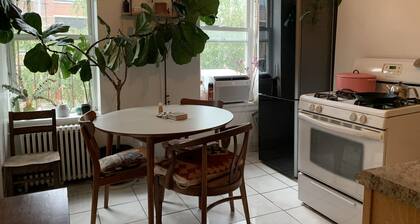 Park Slope One Bedroom