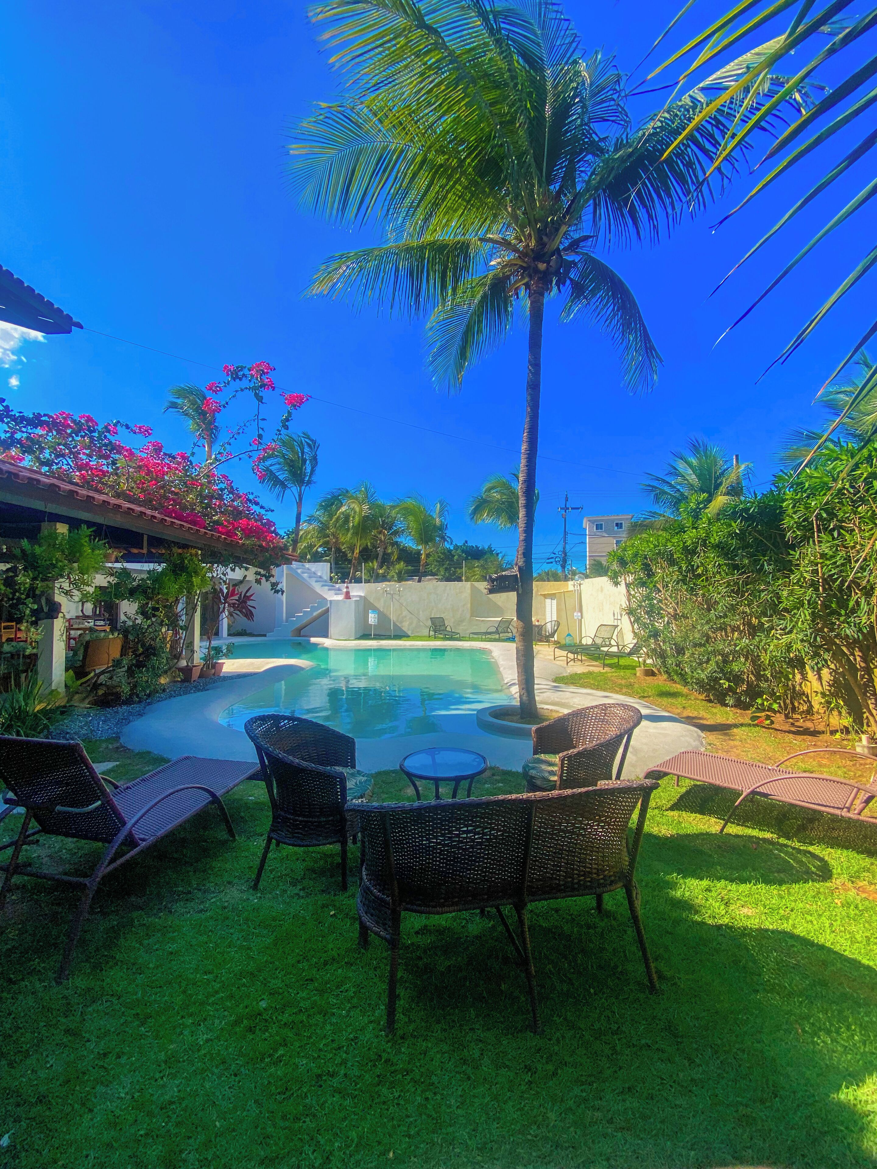 A pool area with lounge chairs and a palm tree.
