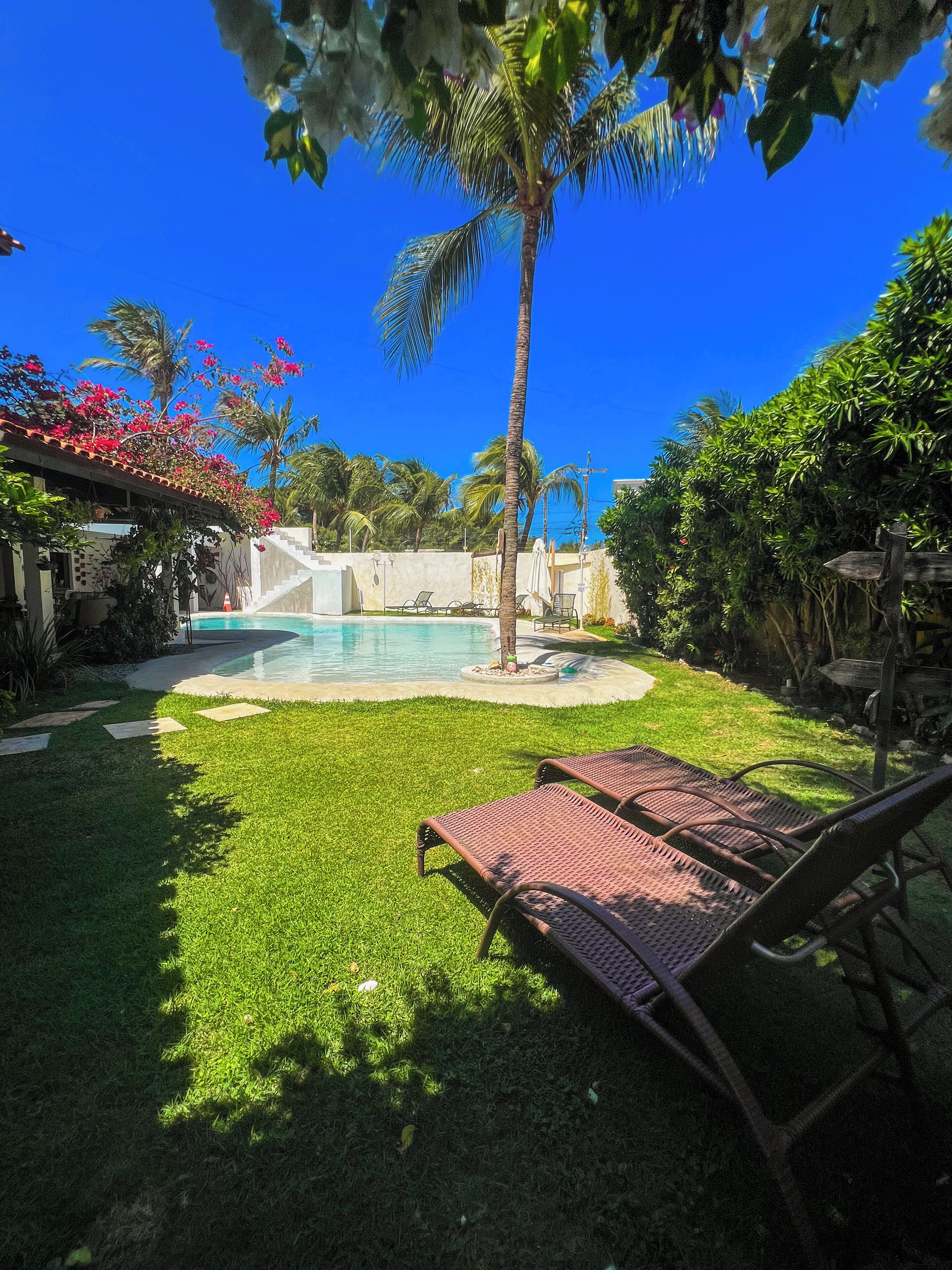 A backyard with a swimming pool, a palm tree, and a lounge chair.