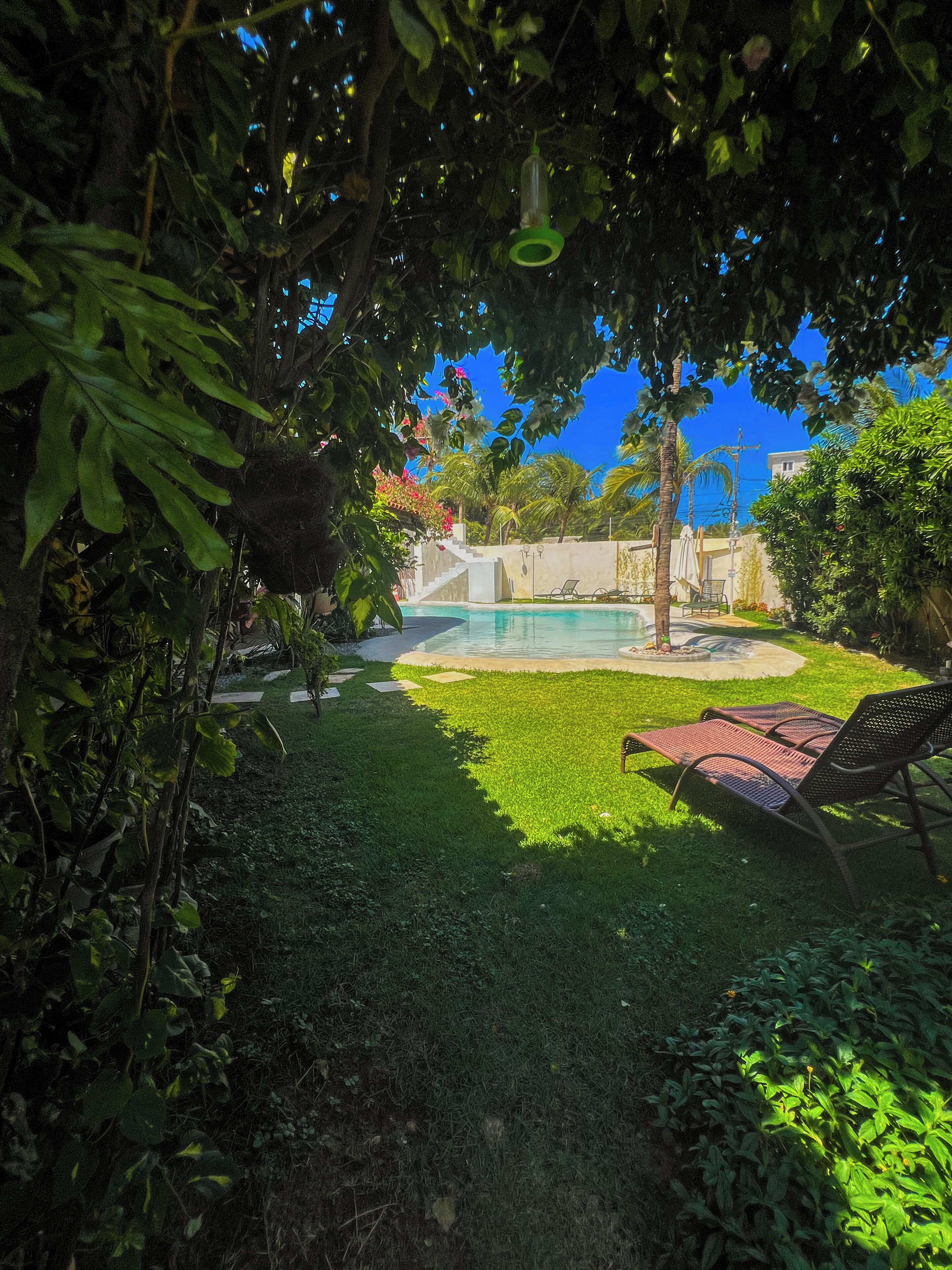 Un patio trasero con piscina, césped y algunas sillas de descanso.