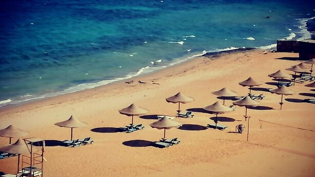 Een strand met rijen parasols en ligbedden, een zandstrand en de oceaan op de achtergrond.