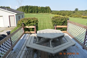 Outdoor dining - Geneva State Park Country Home (Geneva)