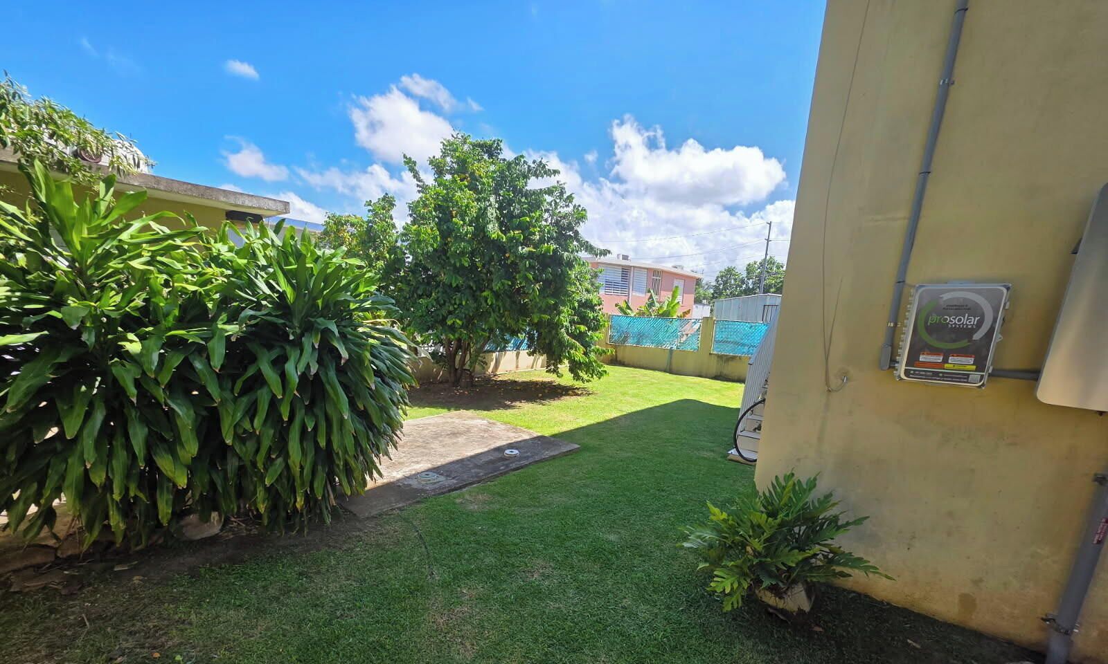 A well-maintained garden with a lawn, various plants, and a utility box on the wall.