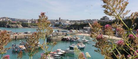 Port de plaisance