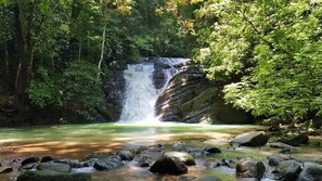 Miscellaneous - Casa Poza Azul - Jungle Gem..!! (Puntarenas Province)