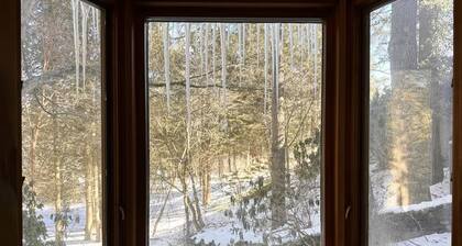 Cottage is currently rented for the year, and not available until further notice