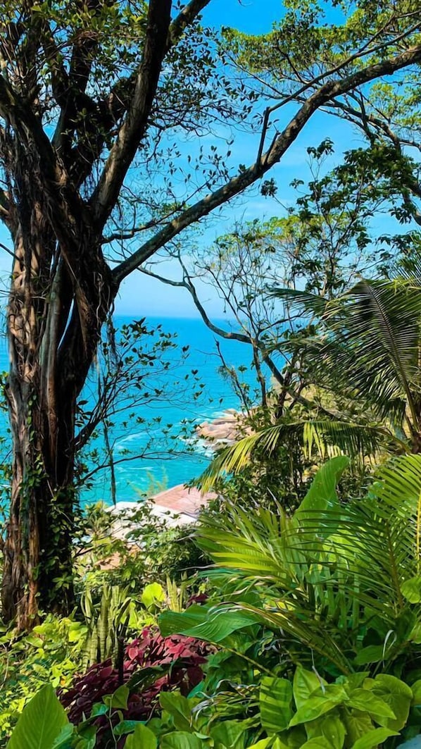 View from property - Casa Carioca (Rio de Janeiro)