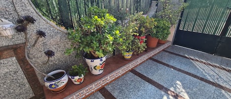 Parco della struttura