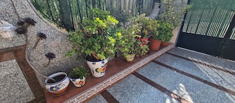 7 minutes walk from Mar-Menor Beach and outdoor public pool end of street
