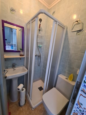 Regadera, secadora de cabello, bidet, toallas