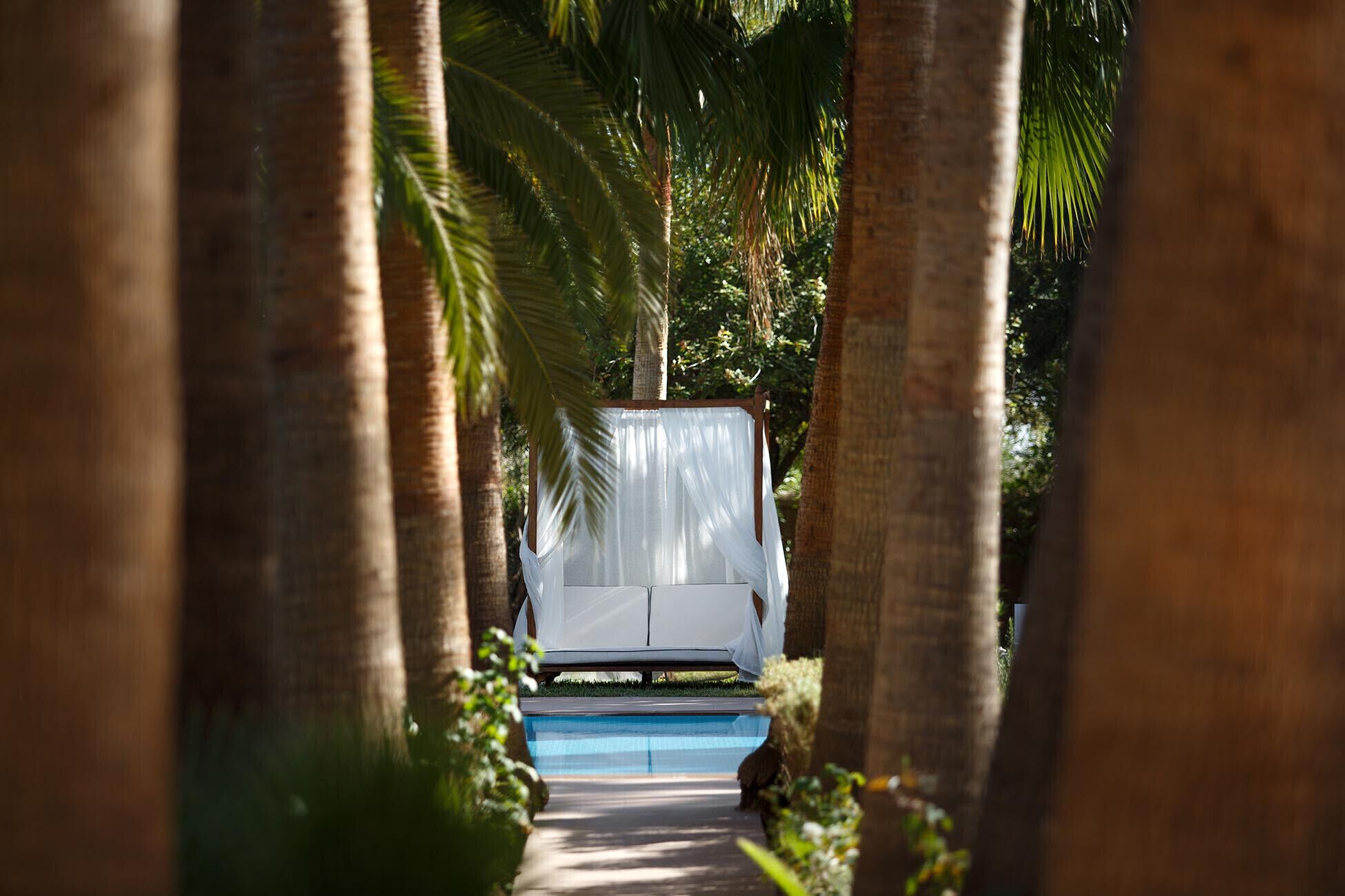 Un camí que condueix a una zona coberta amb una piscina, envoltada de palmeres.